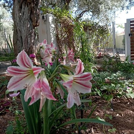 Skála Kallirákhis Villa Relax מראה חיצוני תמונה