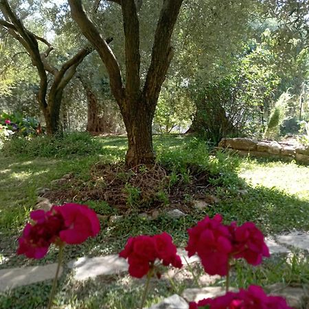 Skála Kallirákhis Villa Relax מראה חיצוני תמונה