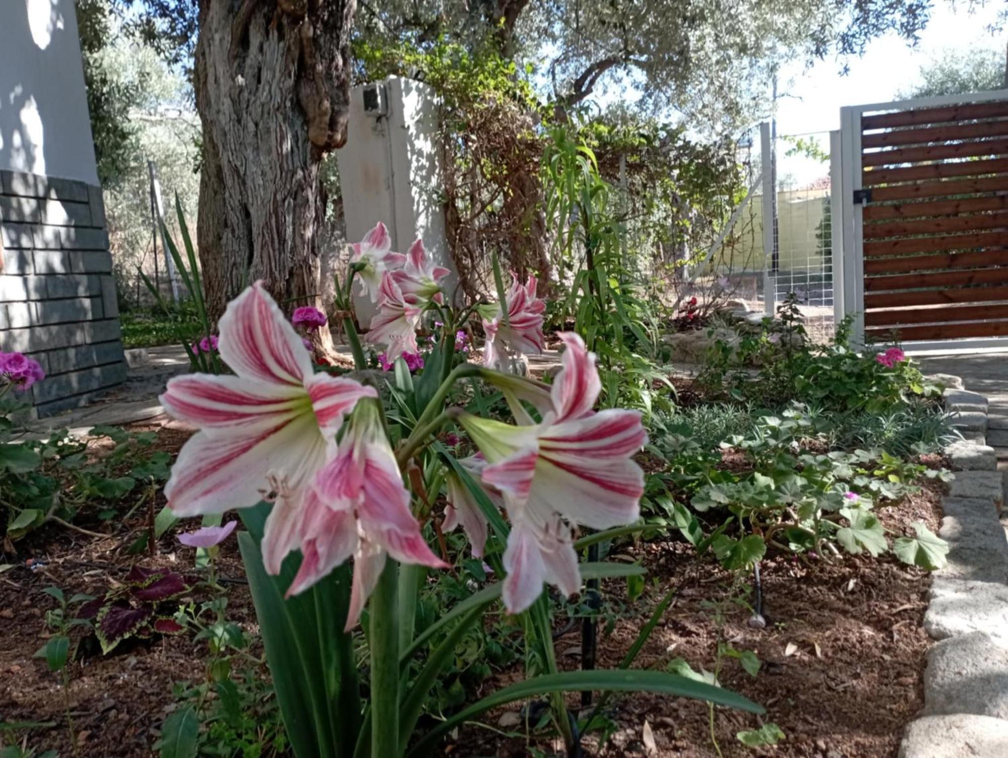 Skála Kallirákhis Villa Relax מראה חיצוני תמונה