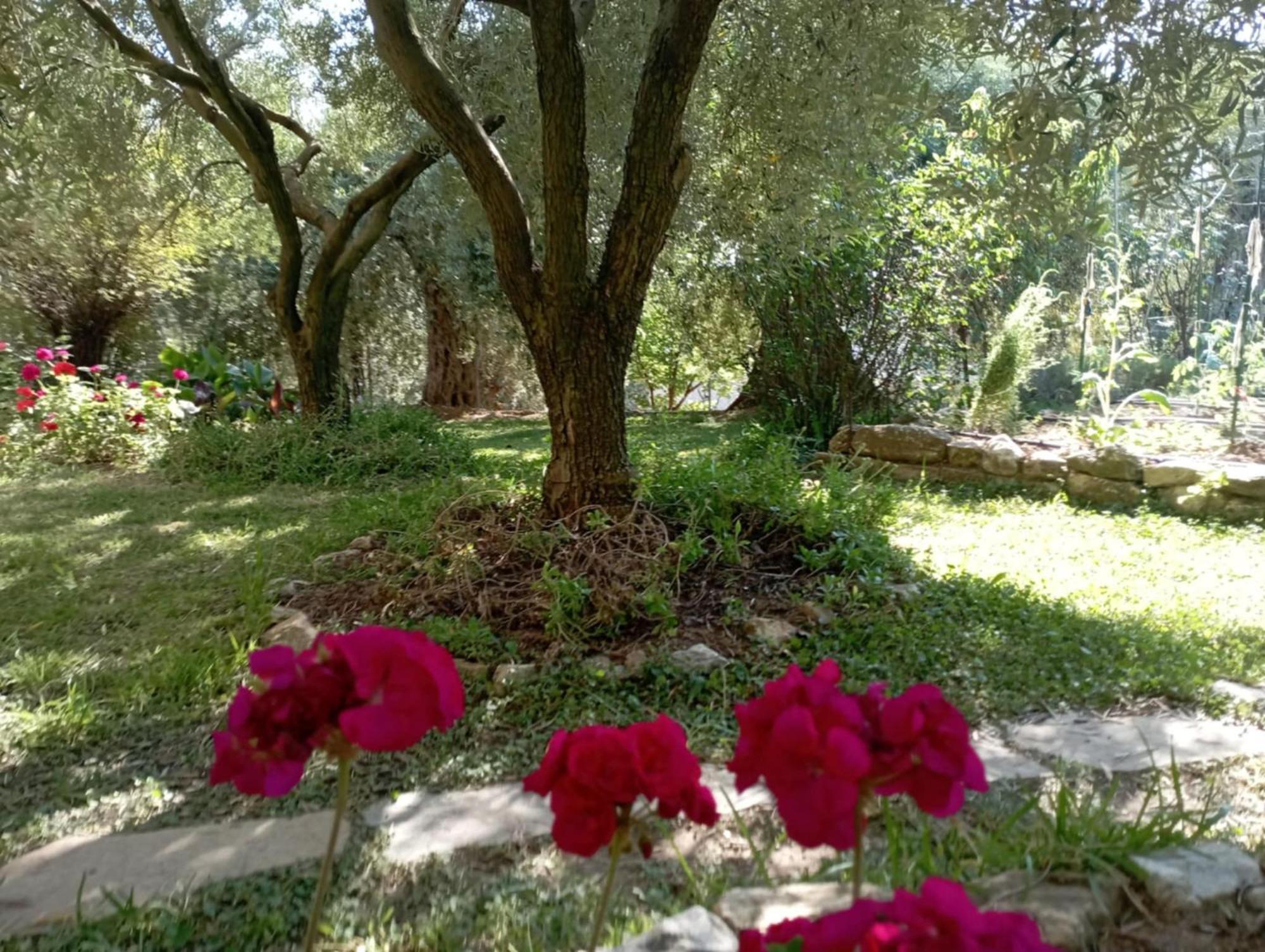 Skála Kallirákhis Villa Relax מראה חיצוני תמונה