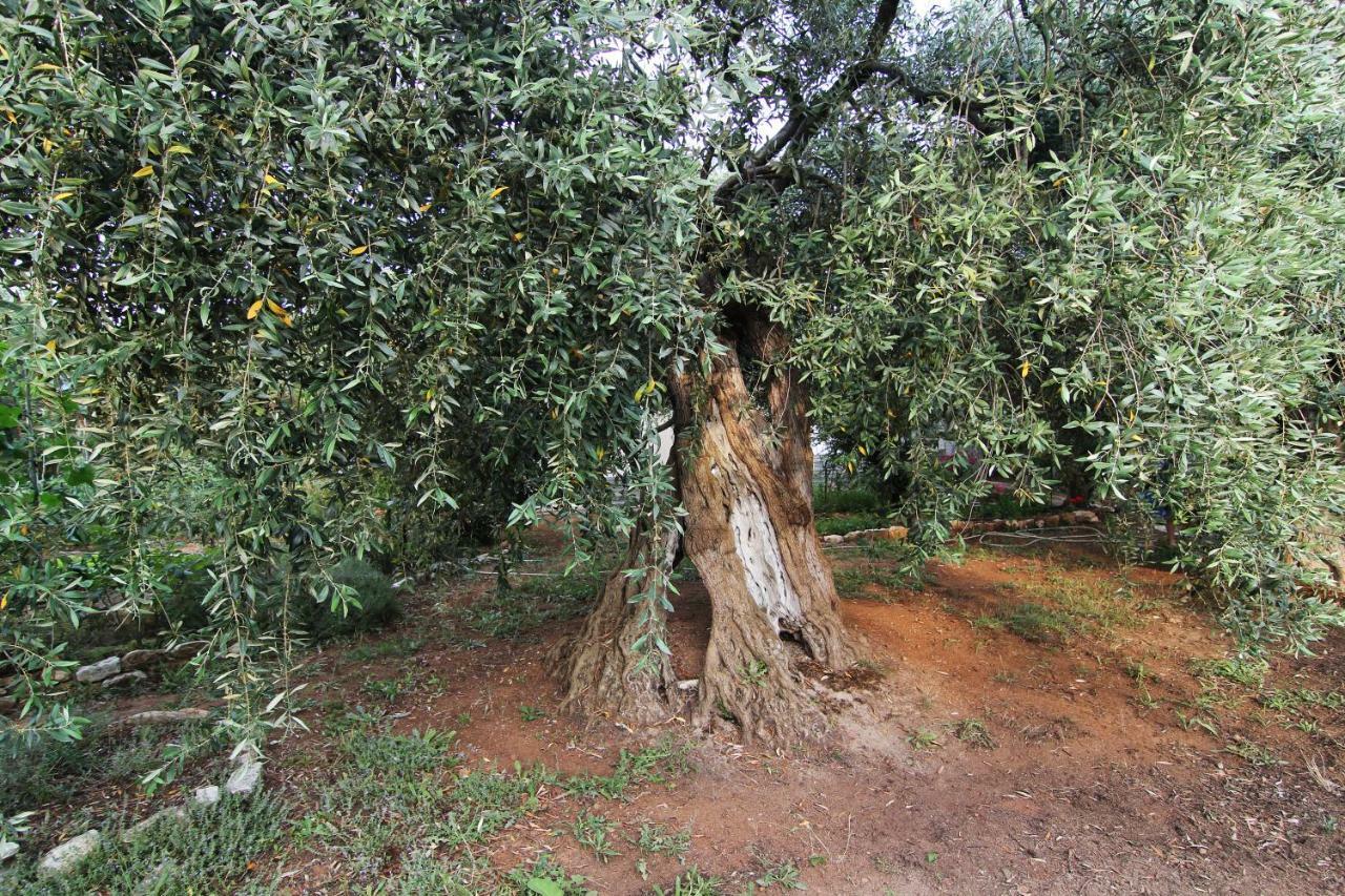 Skála Kallirákhis Villa Relax מראה חיצוני תמונה